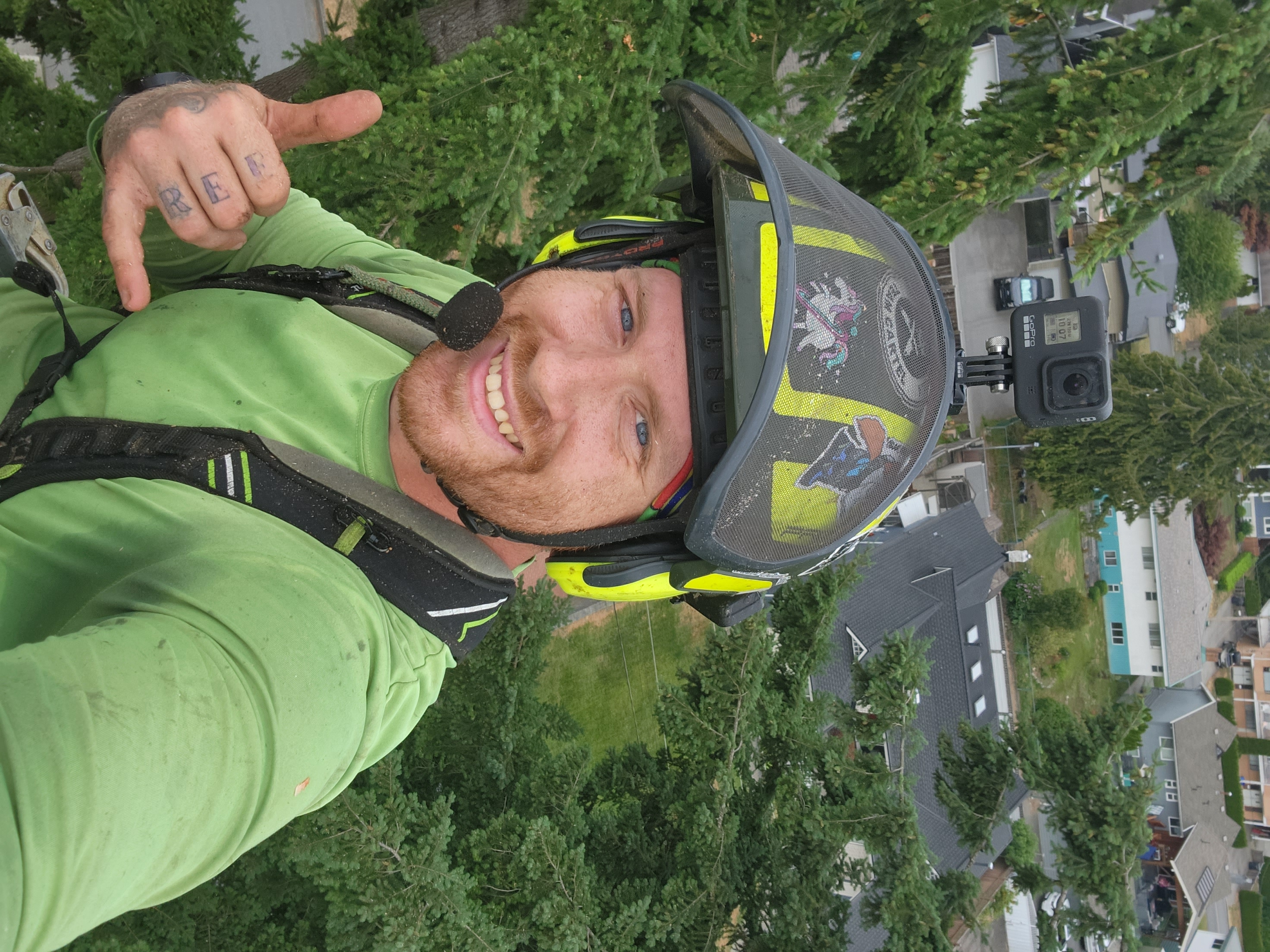 DB Tree Care arborist working high in a residential tree